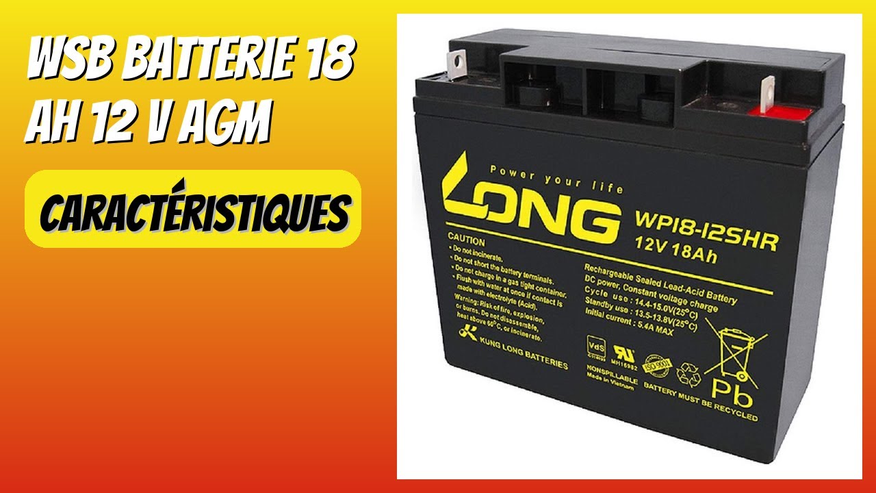 AVIS (2026) : WSB Batterie 18 Ah 12 V AGM. DÉTAILS
