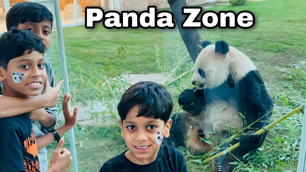 PANDA ZONE @ ALKHOR - QATAR