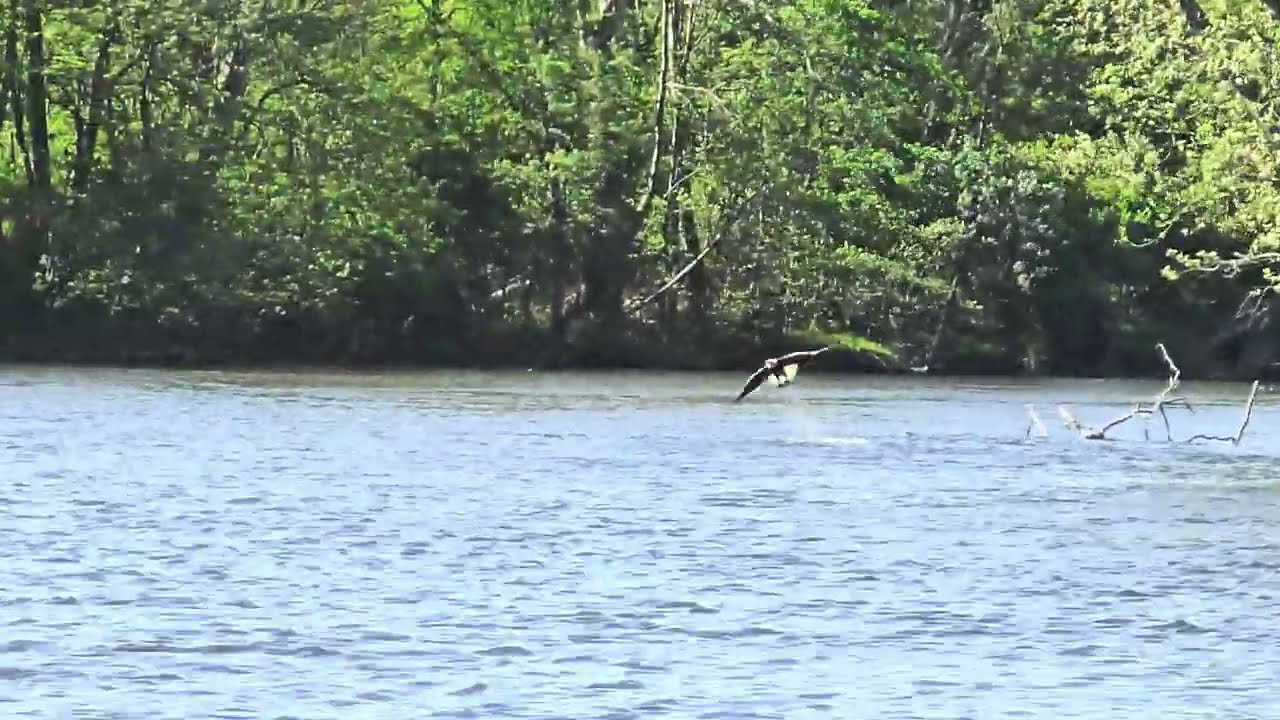 PAT CATCHES A LARGE FISH ON THE ST. JOSEPH RIVER AT ST. PATRICK'S COUNTY PARK.