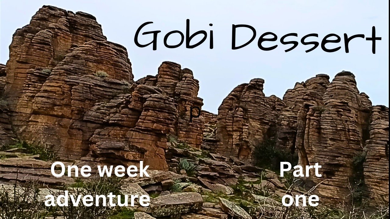 The Gobi Dessert. Mongolia July 2024. Part one.