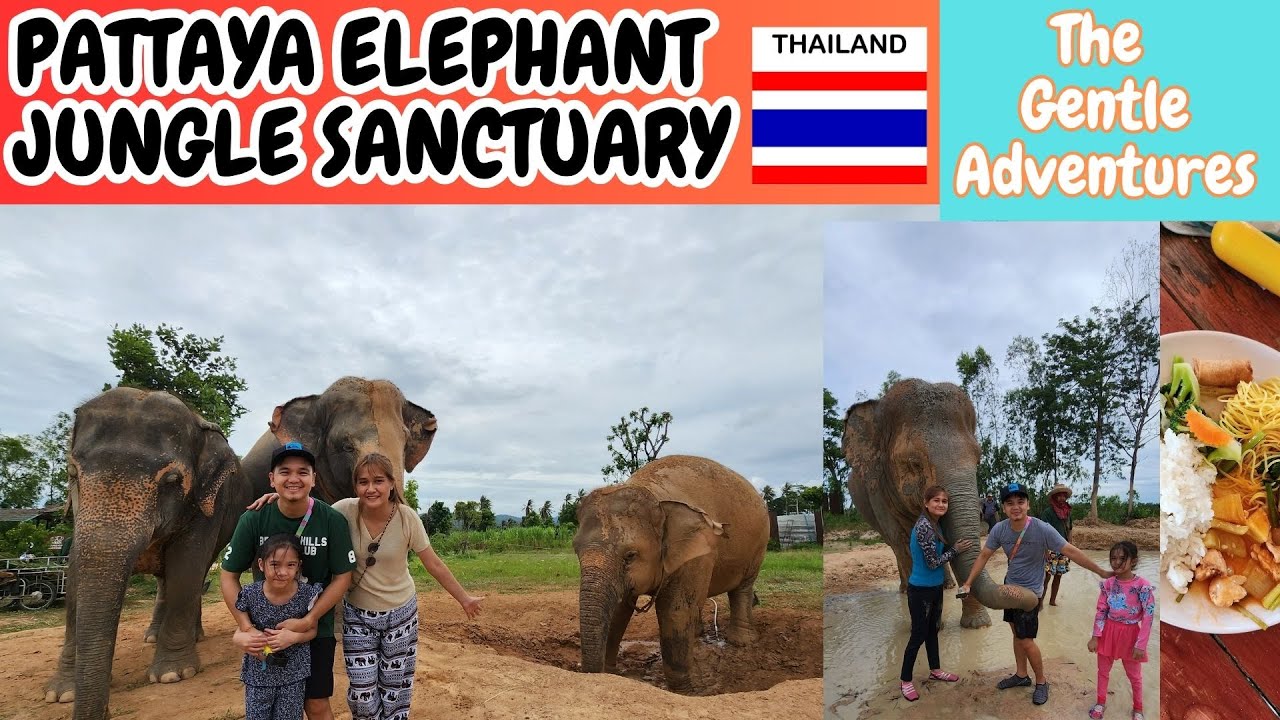 Pattaya Elephant Jungle Sanctuary | Thailand Vlog | The Gentle Adventures