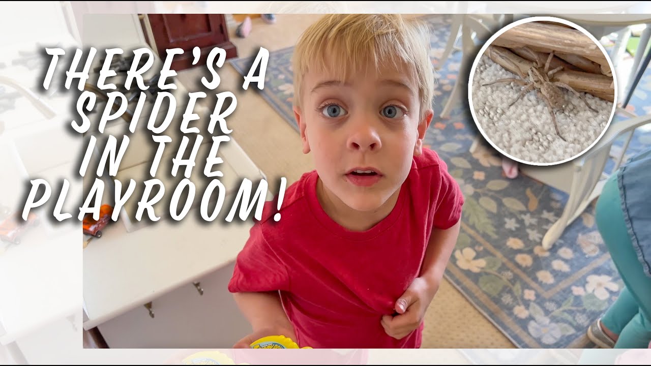 There’s a Spider In the Playroom! - Vivi’s Backyard Tour