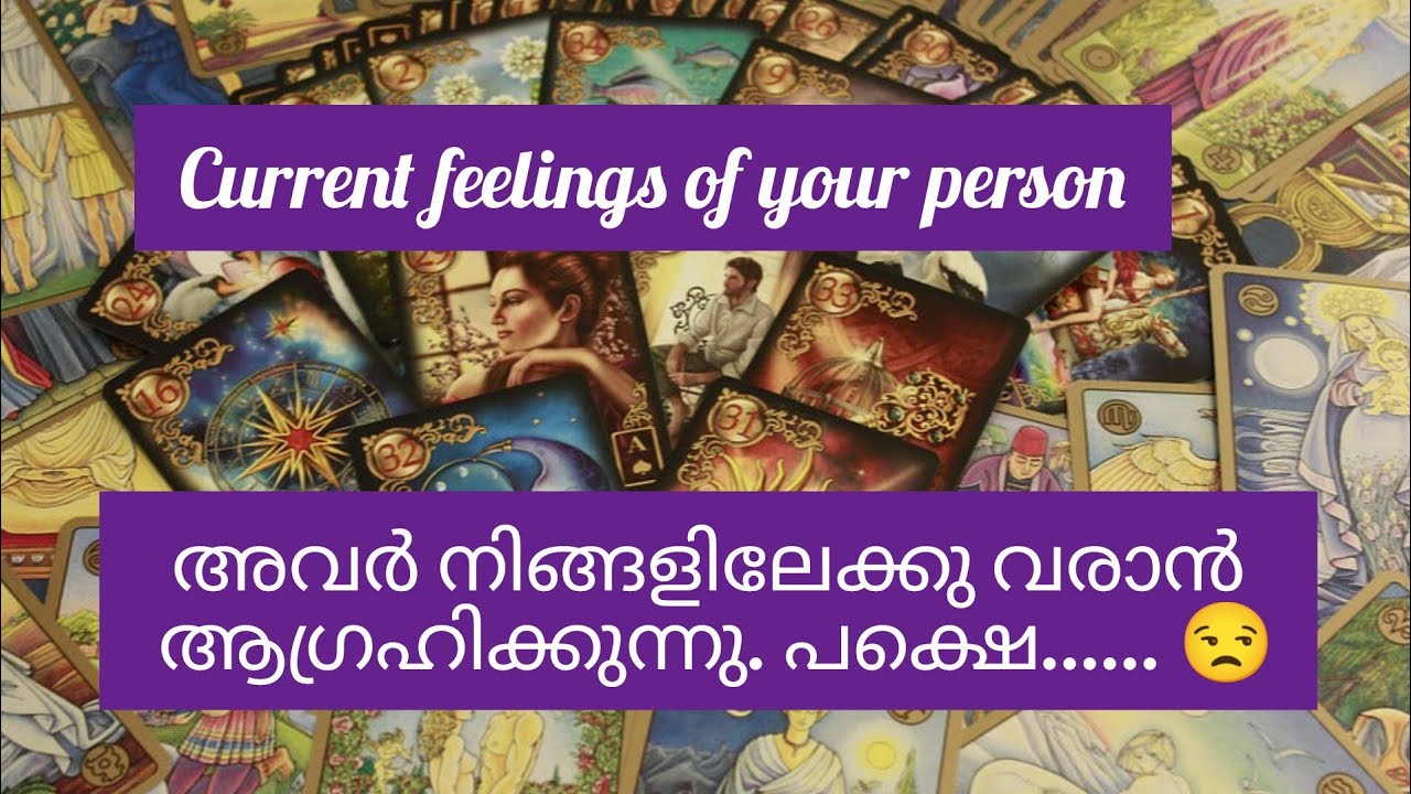 അവർ നിങ്ങളിലേക്കു വരുവാൻ ആഗ്രഹിക്കുന്നു...പക്ഷെ...current feelings of your person💕