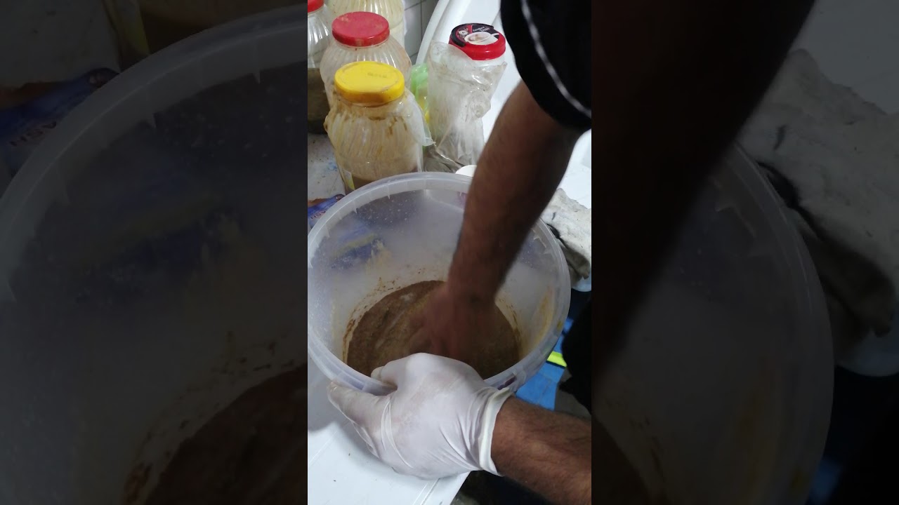 كص دجاج