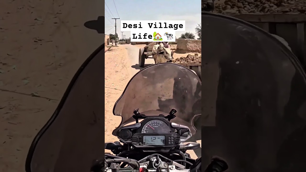 Peaceful Village Ride🏍️🌾 #village #shorts #rx3