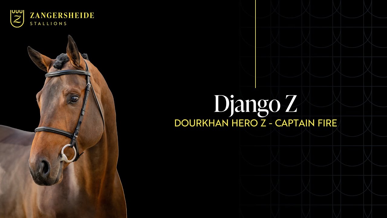 Django Z - Stallion Presentation 2025 ENG