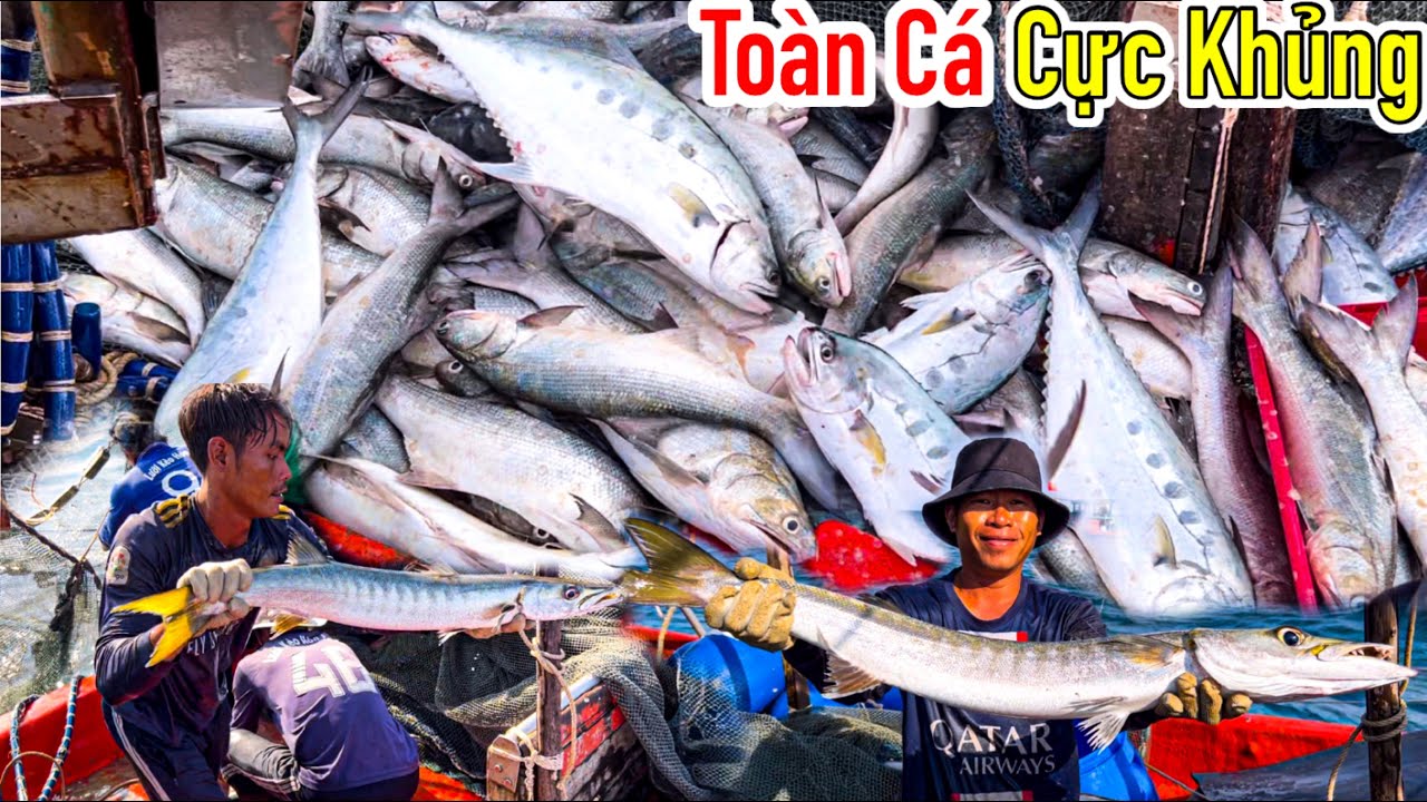Lưới Bao Rạn 15 | Đụng Toàn “Cá Cực Khủng”  Quá Mê Tại Hòn Chuối | Chuyến Đi Mỗi Năm Chỉ Có Một Lần