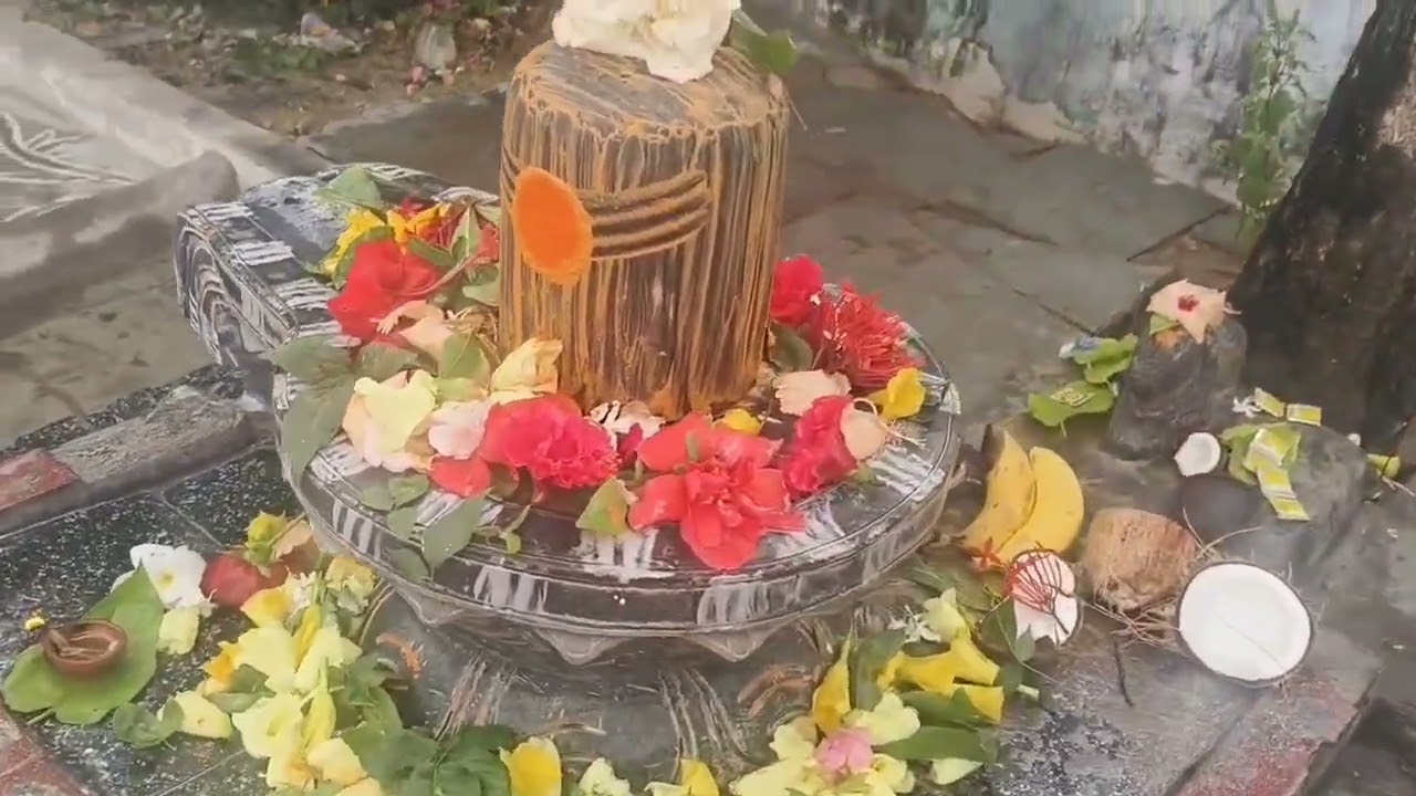 యోగశాస్త్రానికి ఆదిగురు. ఆత్మజ్ఞానం మార్గాన్ని మానవాళికి చూపిన తపోవీరుడు.#lordshiva #shivratri 