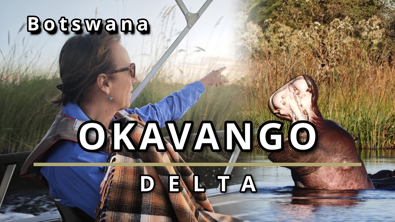 Okavango Delta, Botswana: Is It Overhyped? Xugana Island Lodge, Helicopter Views & Bush Walk