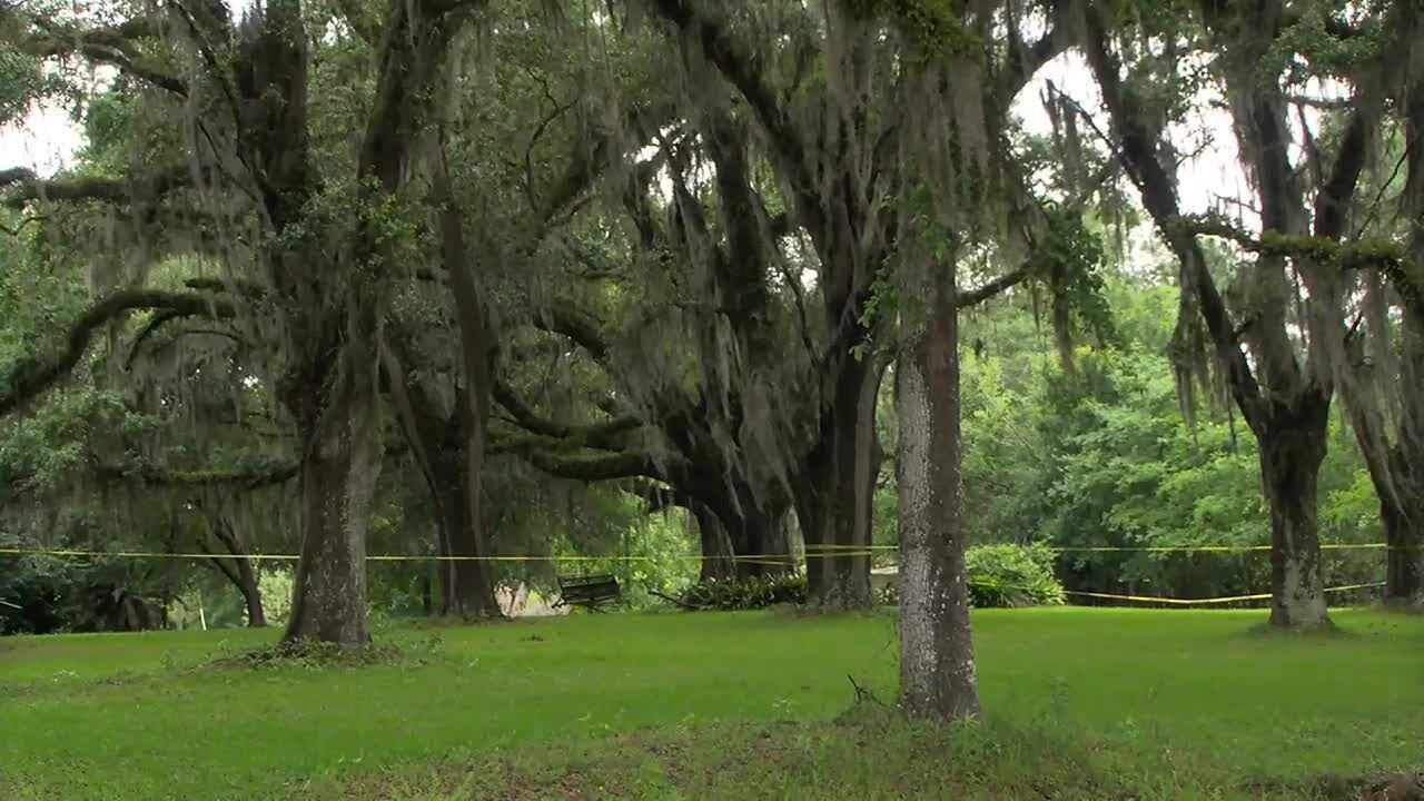 Kids injured in Brooks County dog attack, mother found dead