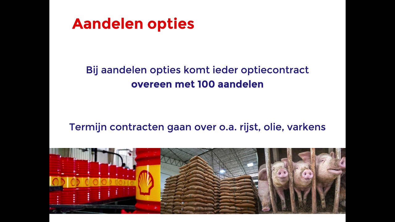Bedrijfseconomie | Vwo | Put en call opties