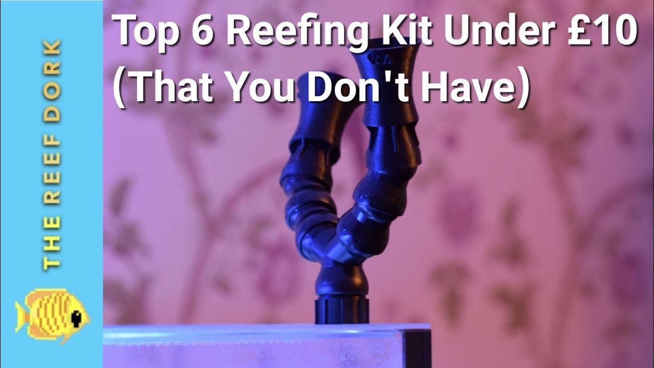 Top 6 Reefing Equipment under $10 (That You Don't Have)