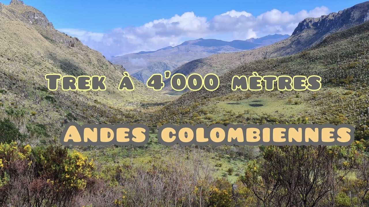 #23 Trek à 4’000m dans les ANDES | Los Nevados, Colombie