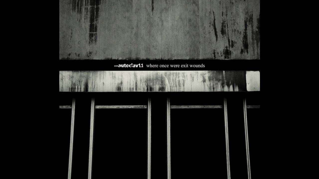 Autoclav1.1 - Do You Feel Disposable?