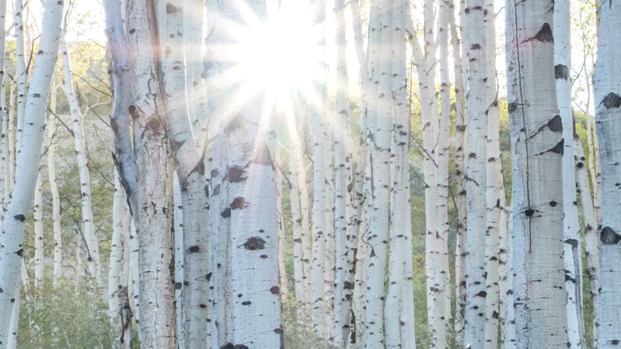 Aspenglow - John Denver