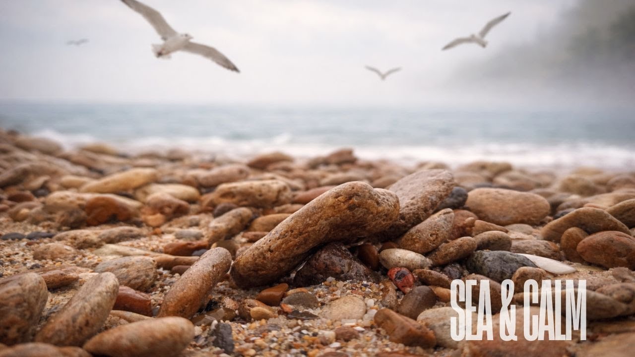 Peaceful Sea Sounds | Pure Relaxation