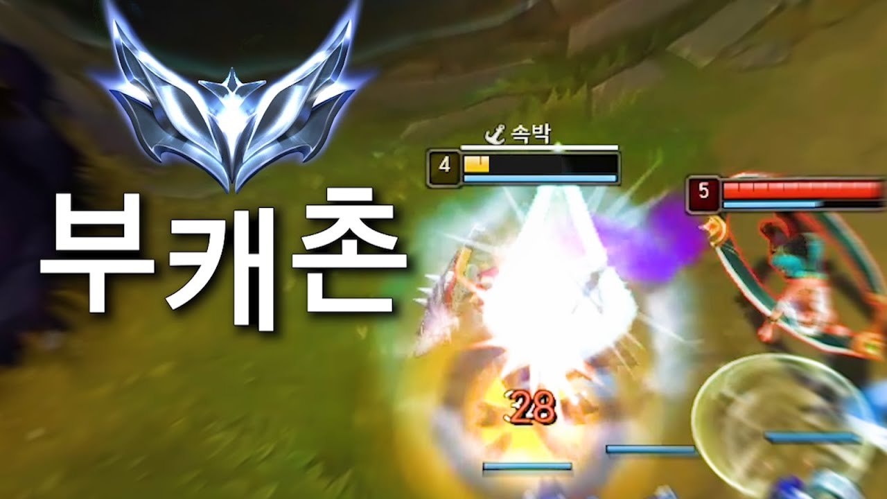 뉴비를 찾습니다