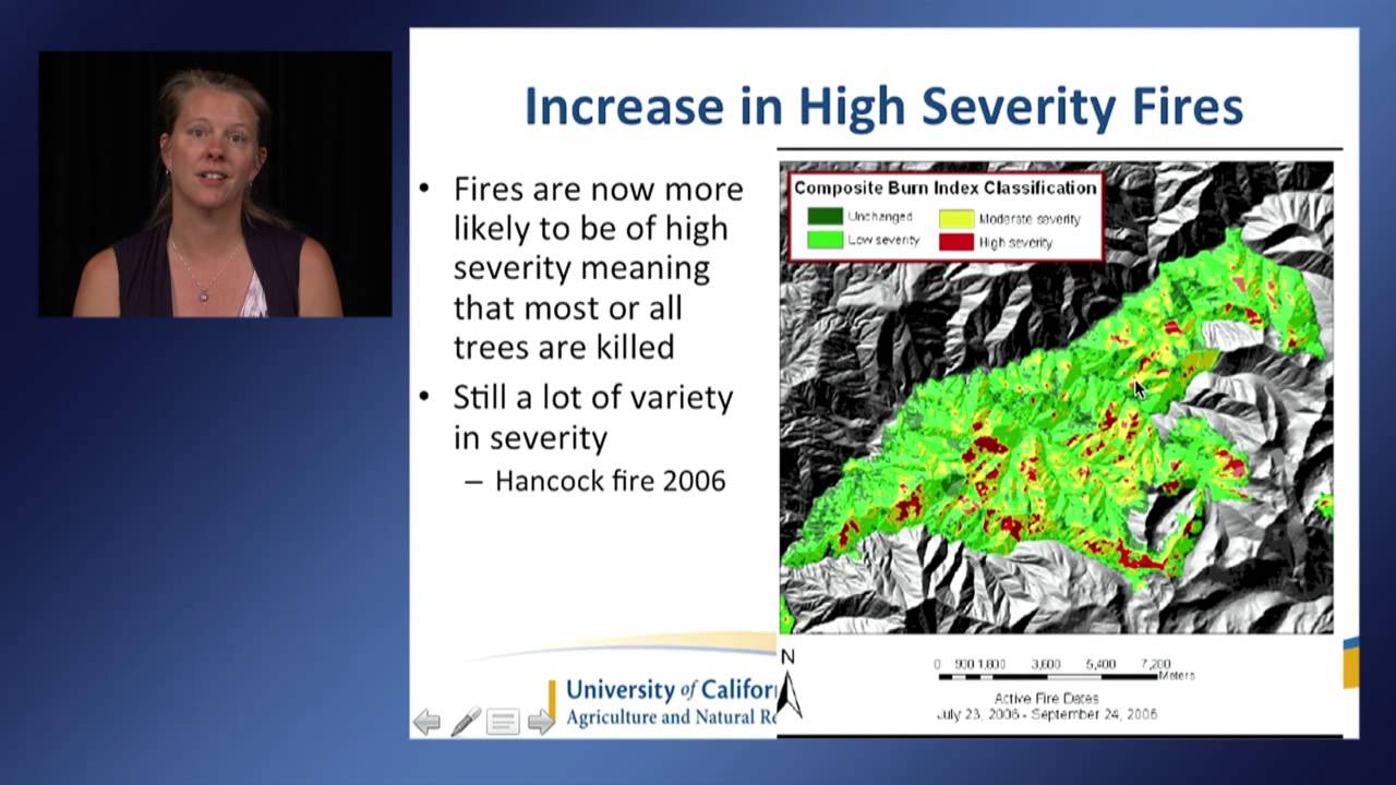 Wildfire and Droughts in the Sierra Nevada Forests