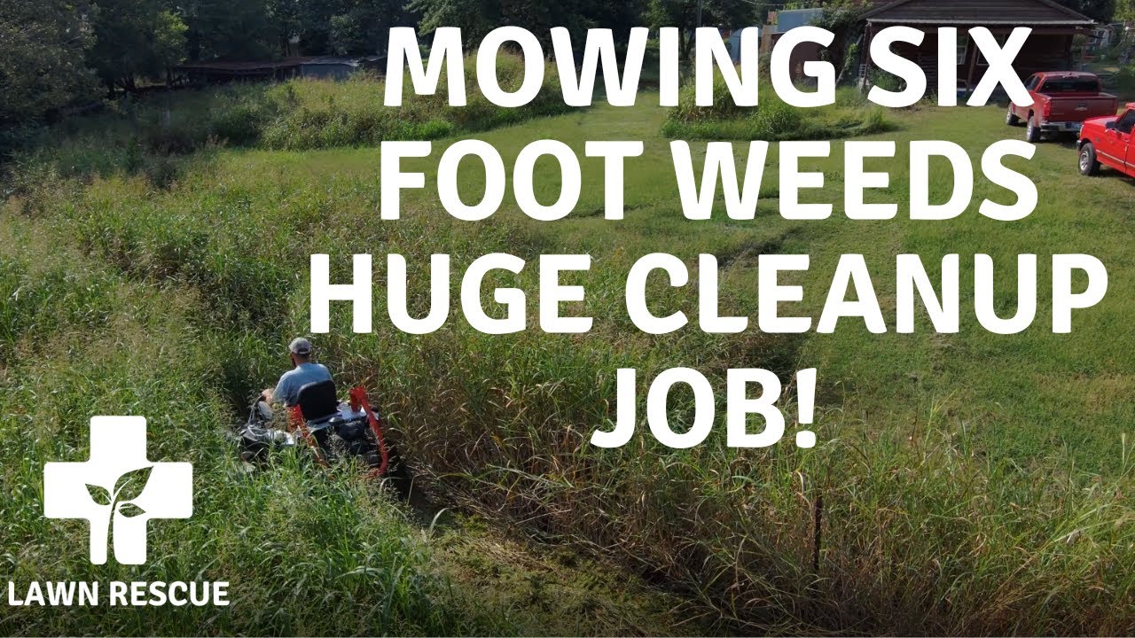 HUGE MOWING CLEANUP JOB | Mowing Tall Grass and Weeds | Altoz TRX 766i |