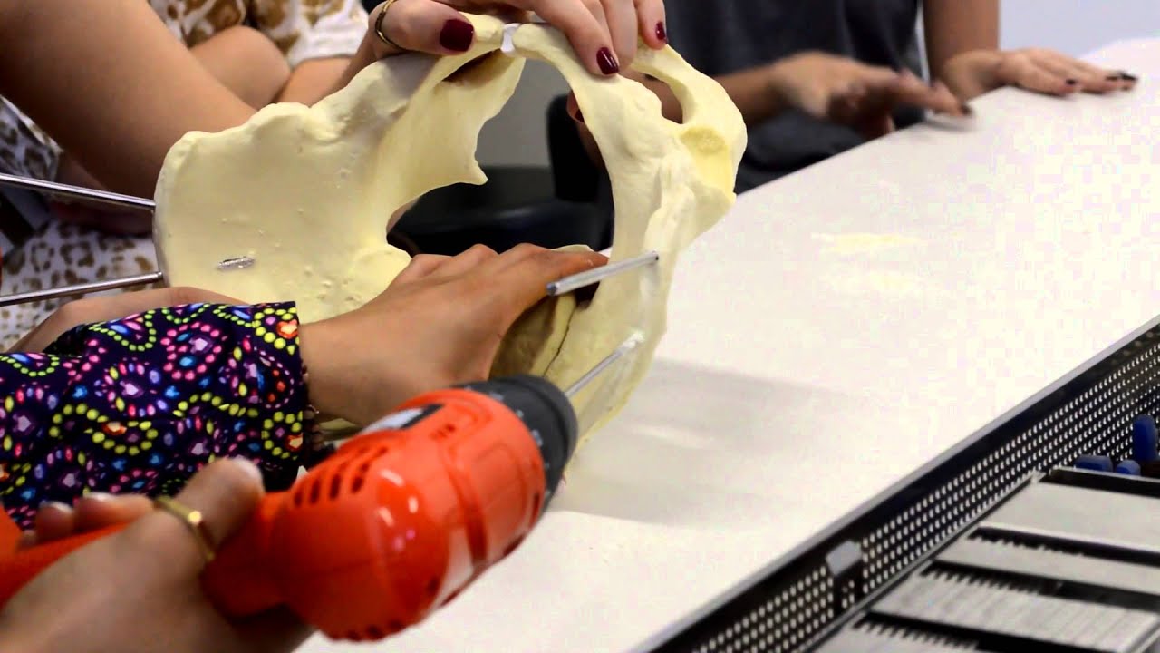 Principles of osteosynthesis &ndash; Pelvis external fixation - Workshop