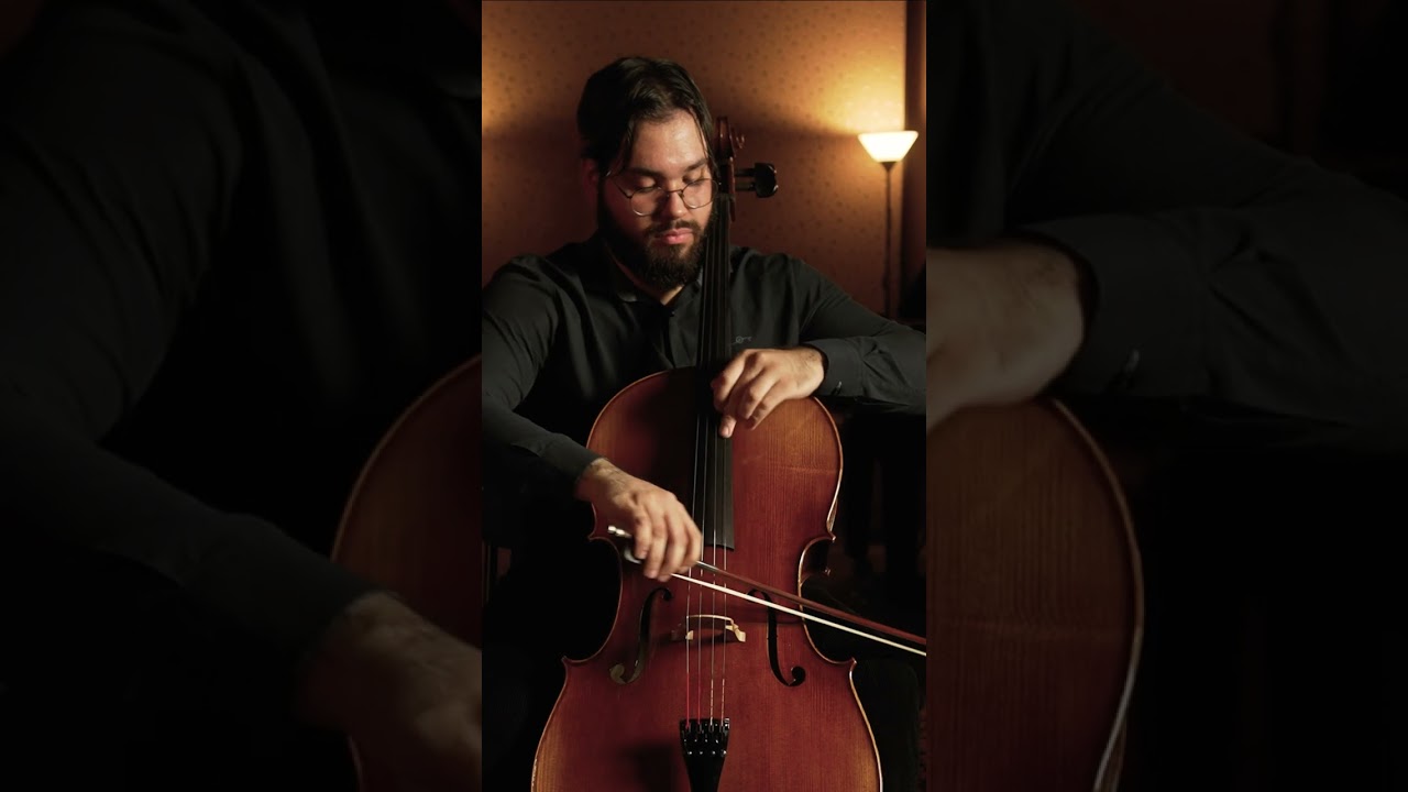 Violoncelo Maestoso | Casa dos Violinos