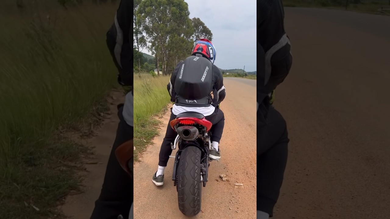 HONDA CBR 600RR YOSHIMURA Exhaust Sound (Cold Start, Exhaust Revs, FlyBy) 💨#honda #cbr #shorts