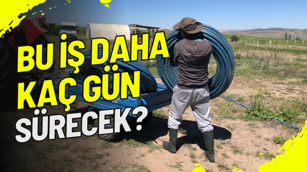 10 DÖNÜM FERNOR CEVİZ BAHÇESİ DAMLA SULAMA SİSTEMİ KURULUMU