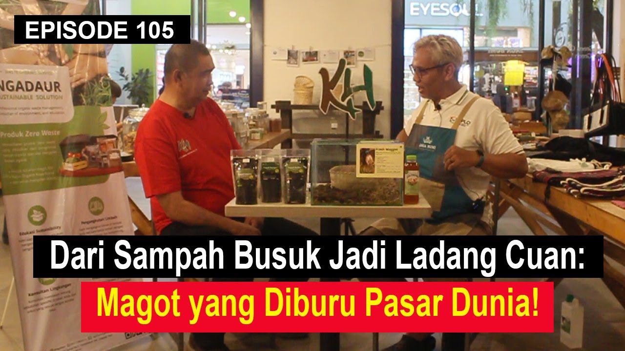 Budidaya Magot: Inovasi Pengelolaan Sampah Organik Bernilai Ekonomi Tinggi