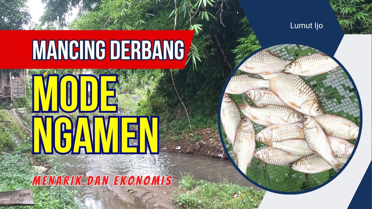 Mancing Derbang Mode Ngamen‼️Menarik dan Ekonomis‼️