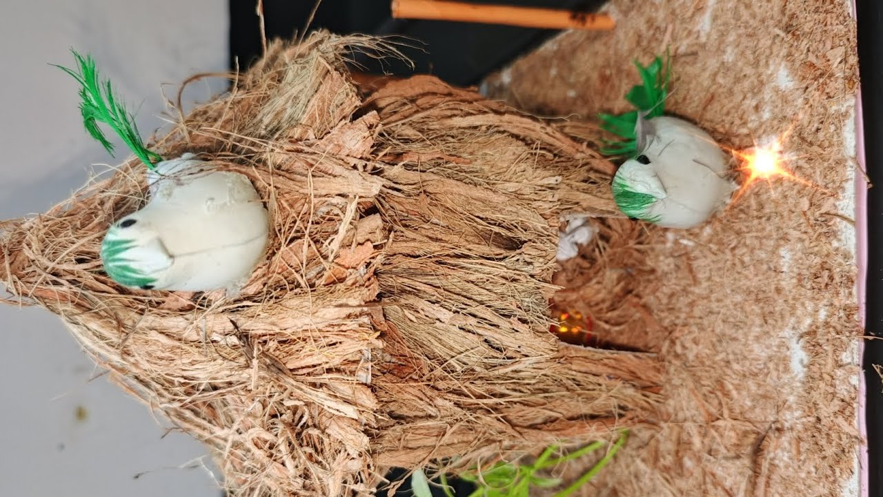 Coconut Husk Home/Best Out Of Waste #shorts #viralvideo #craft #craftyhome #notcopyrightedmusic 