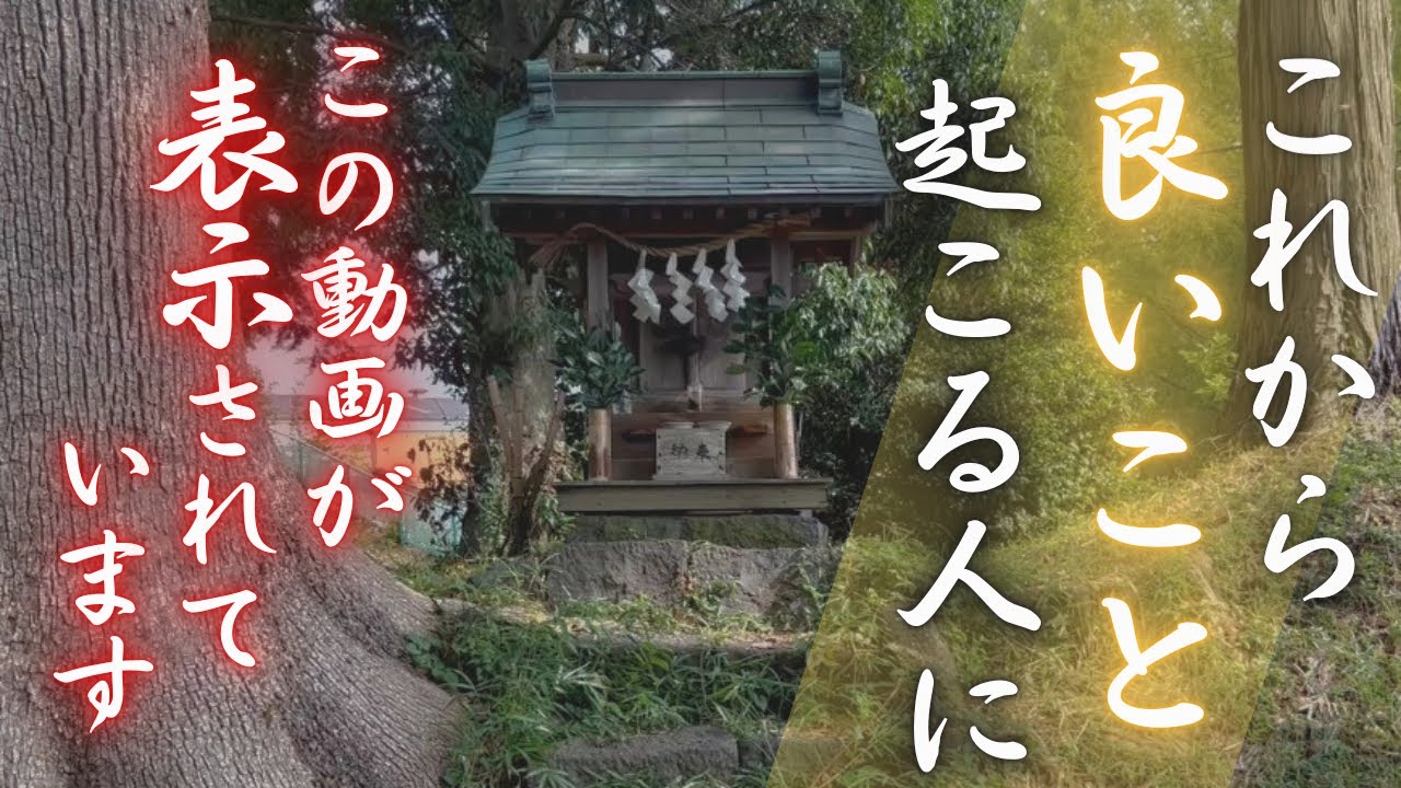 ✨【神回】一瞬で幸運を引き寄せ、人生を飛躍させる大人のための特別参拝。訪れる人の心を明るく照らす奇跡のパワースポットで、チャンスと繁栄を手に⛩️💫城山神社の御神威が、金運・開運・勝負運を力強く後押し🌈