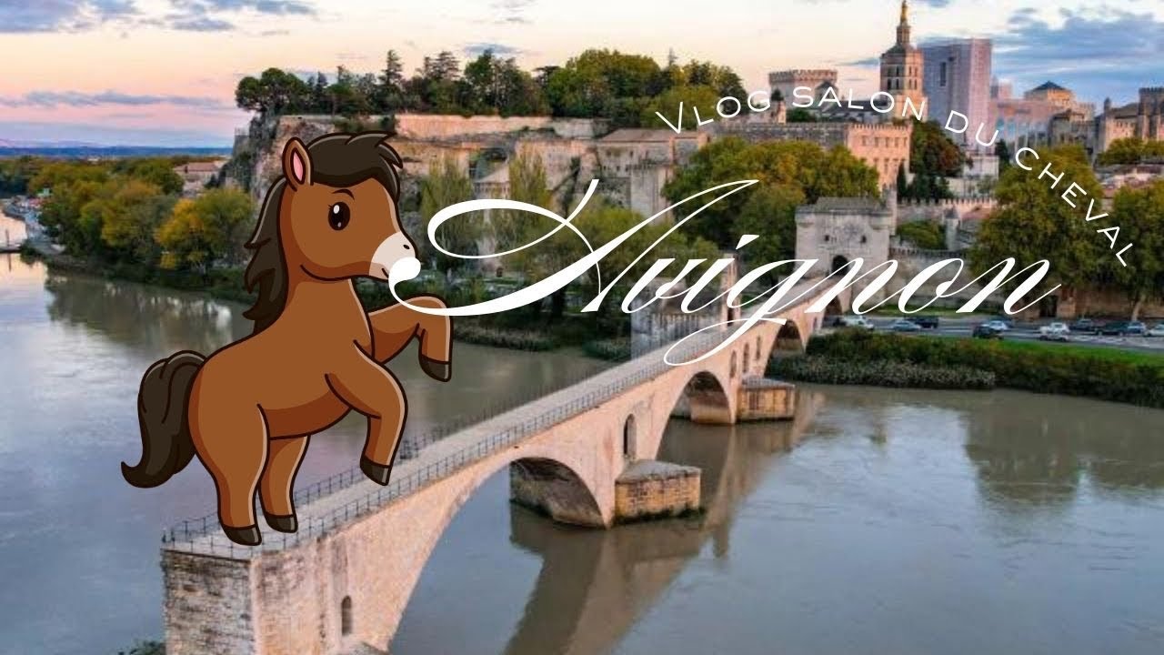 Vlog salon du cheval Avignon - Instant cheval 