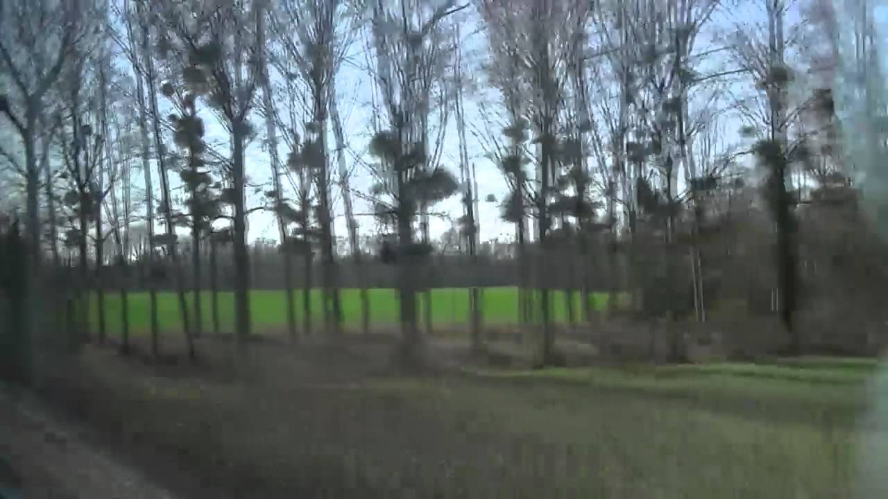 36. ENTRE MONTREUIL-BELLAY ET THOUARS