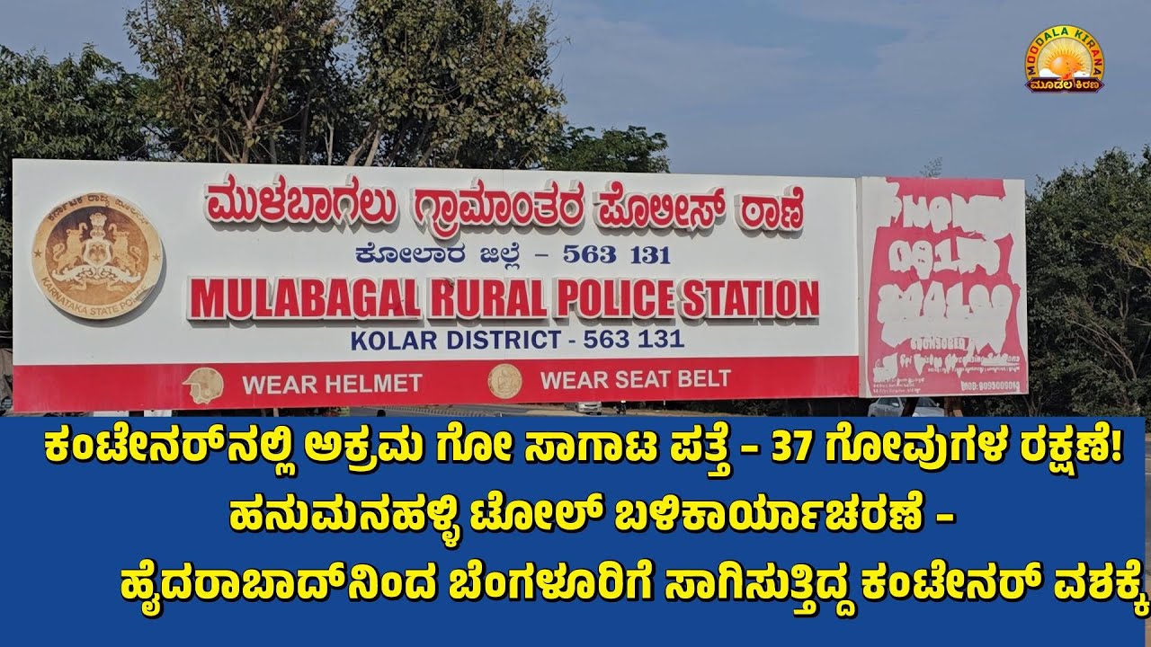 MOODALAKIRANA ಕಂಟೇನರ್‌ನಲ್ಲಿ ಅಕ್ರಮ ಗೋ ಸಾಗಾಟ ಪತ್ತೆ – 37 ಗೋವುಗಳ ರಕ್ಷಣೆ!