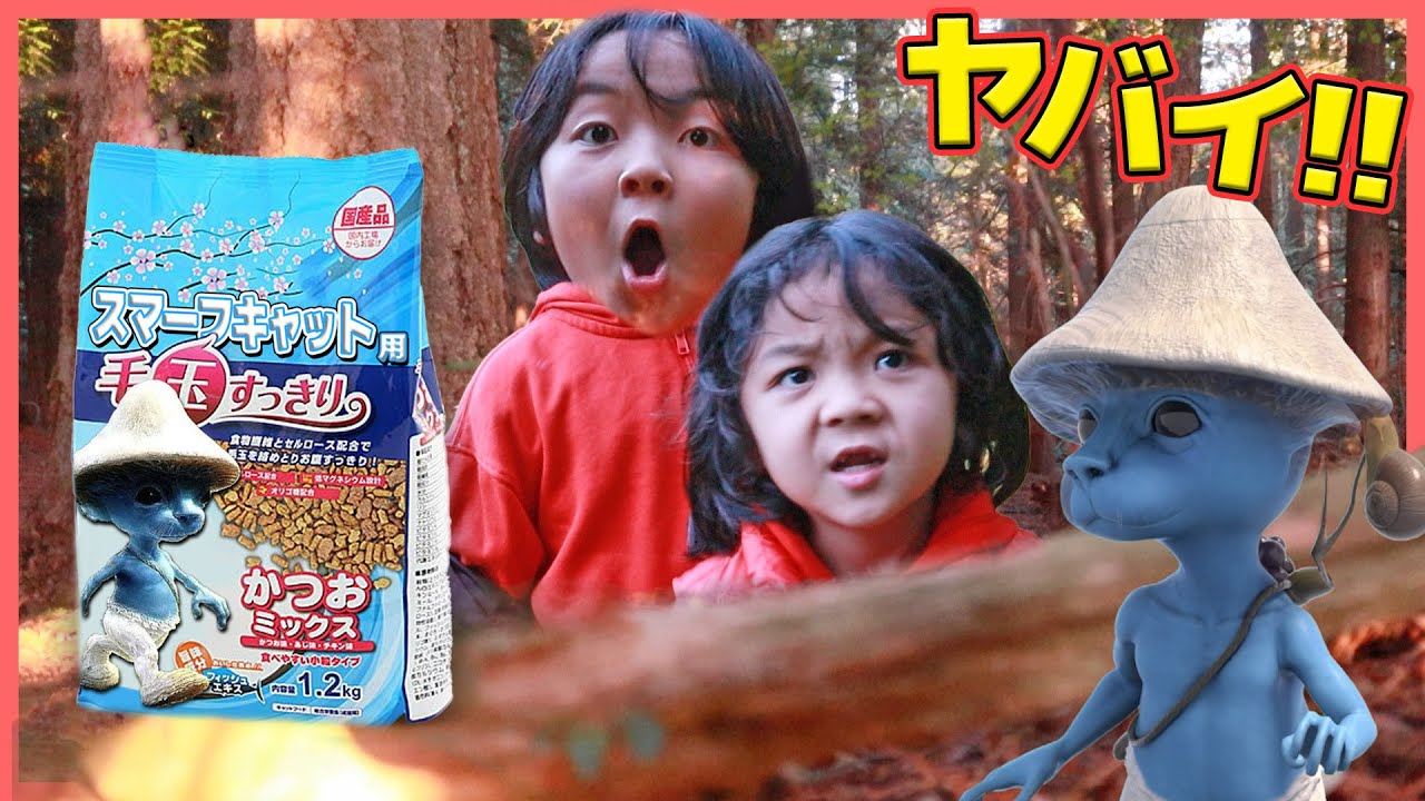 【スマーフキャット】をつかまえて、エサをあげたら、なんと巨大化!?!?