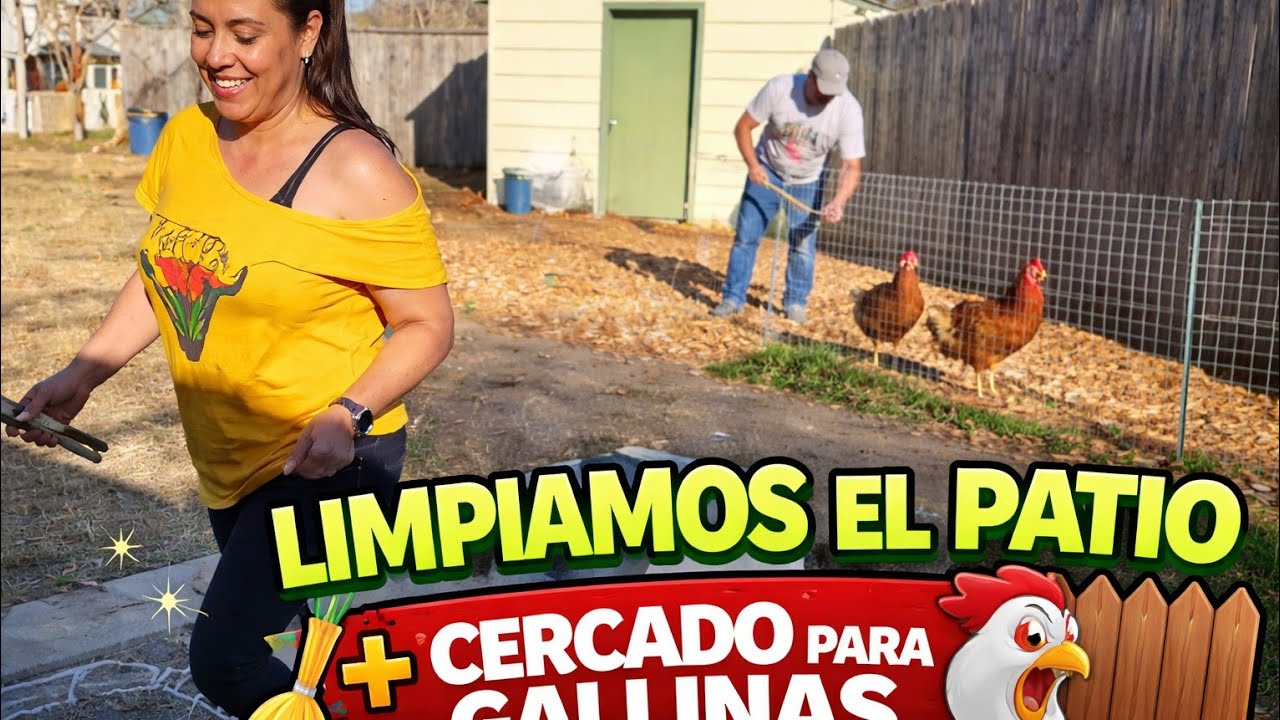 🏡✨ Limpieza Total del Patio + Instalamos un Cerco para que NO se Pasen las Gallinas 🐔🚧