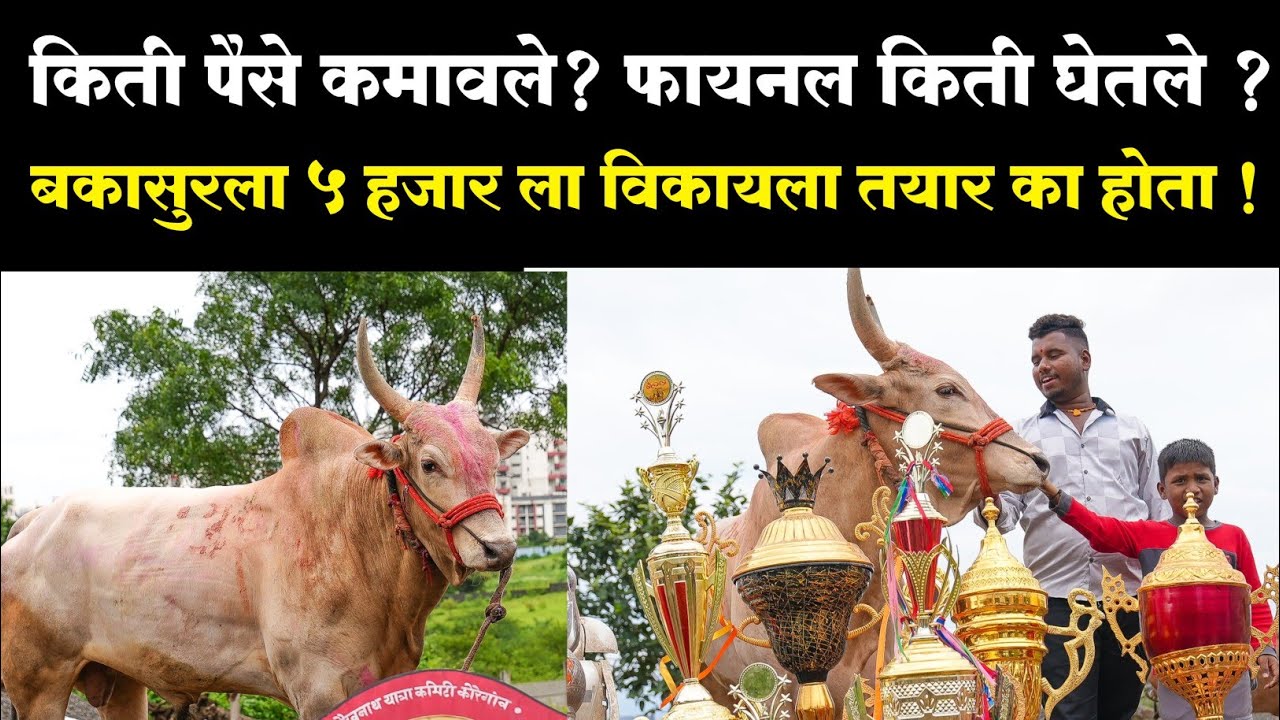हिंदकेसरी बकासुर ची मुलाखत | | bakasur mulakhat| मोहिल धुमाळ,मुळशी|mohil dhumal,mulashi