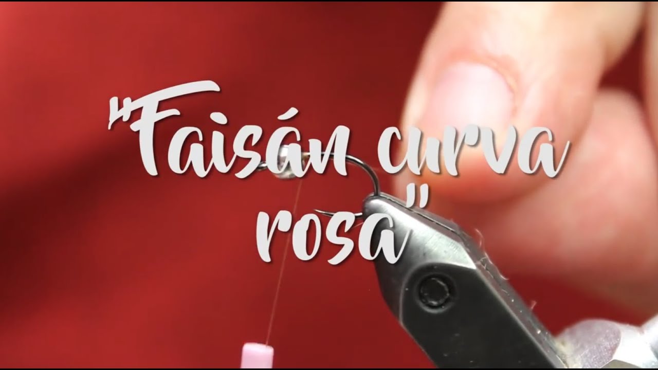 Ninfa de pelo en faisán con cuello rosa por Francisco Muela y Theflycenter