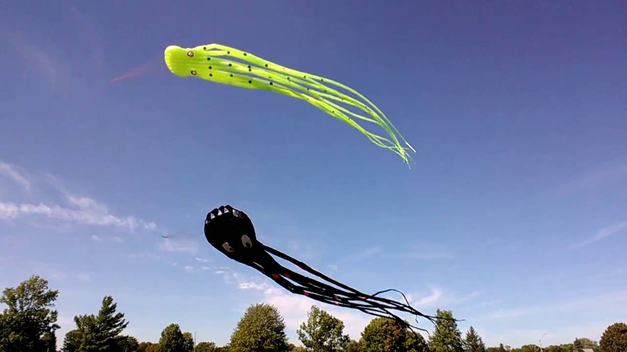 2 Octopus kites 15m & 8m - 20km/h - 35km/h gusty breeze in Morrisburg.