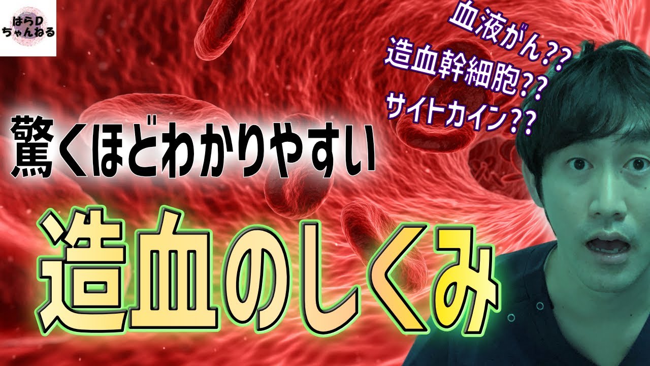 造血の仕組みと血液がんの発生を血液内科医がスーパーわかりやすく解説!!