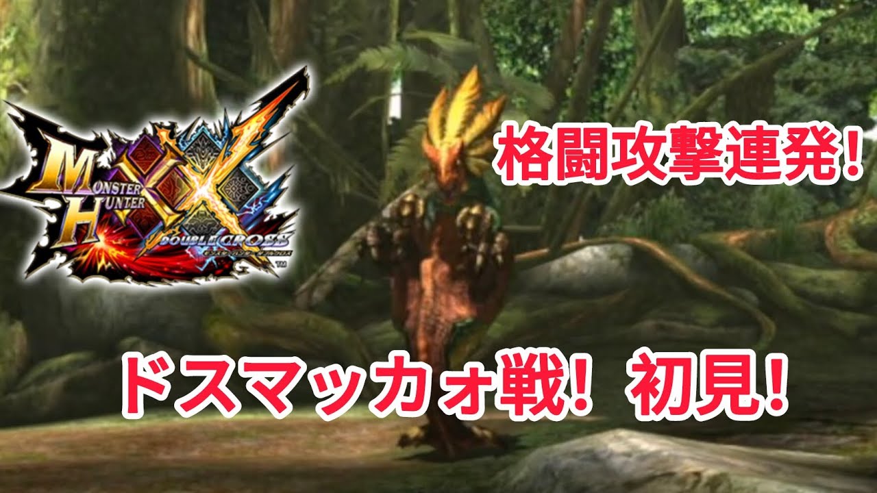 モンスターハンターダブルクロス。ドスマッカォ戦！初見！