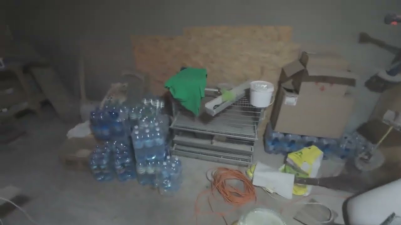 Álltalában így telik egy szombati napom!