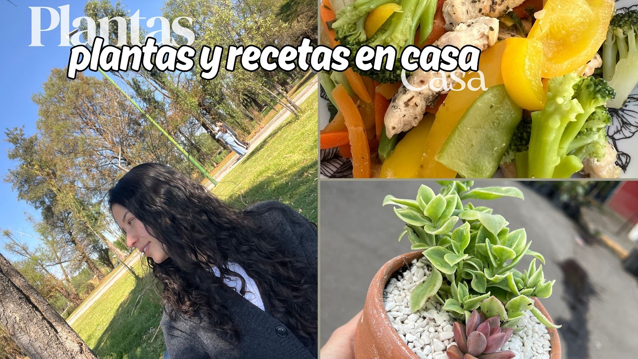PLANTAS en casa y Comida Saludable💕