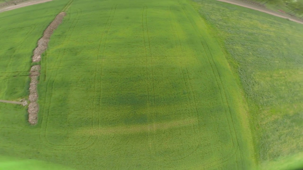 Igor's plane 2 fpv