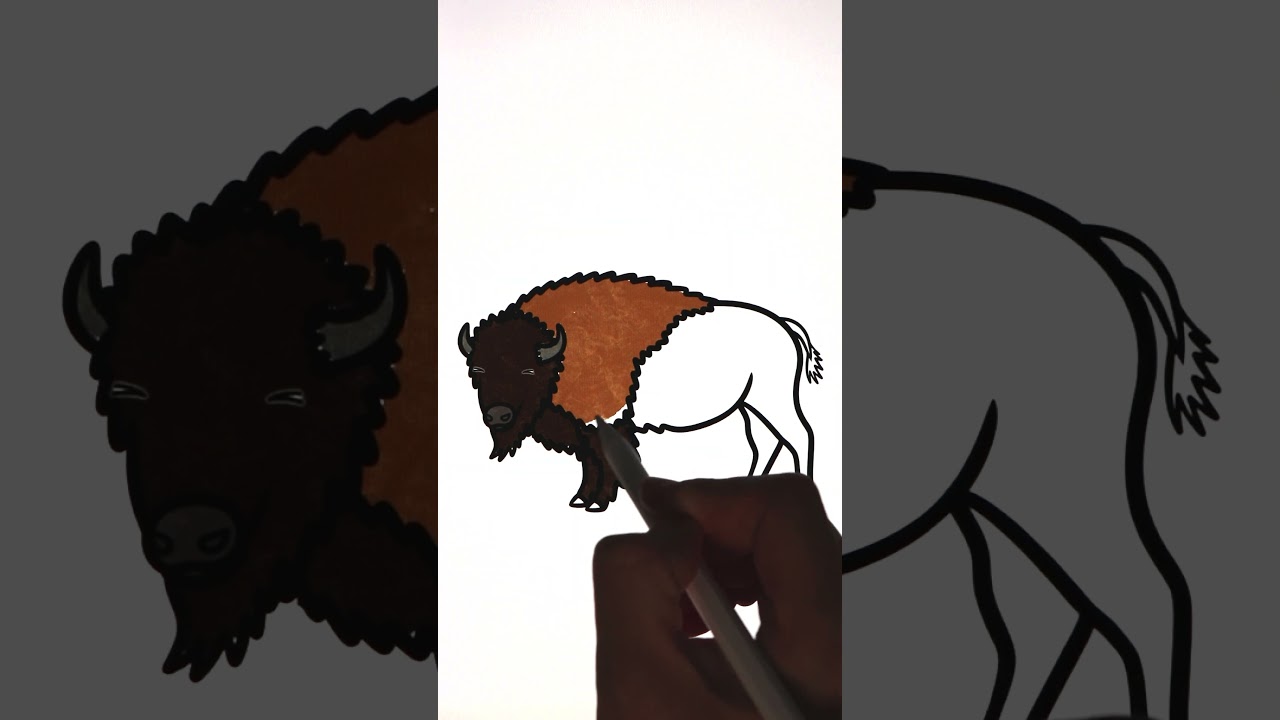 How To Draw Animals | Drawing and Coloring a Bison #art #drawing #howtodraw #animals