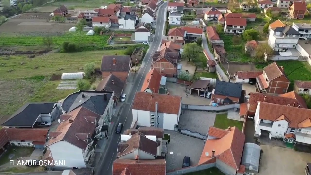 Kon&ccedil;uli Dashur , k&euml;ng&euml; nga Inteligjenca Artificiale