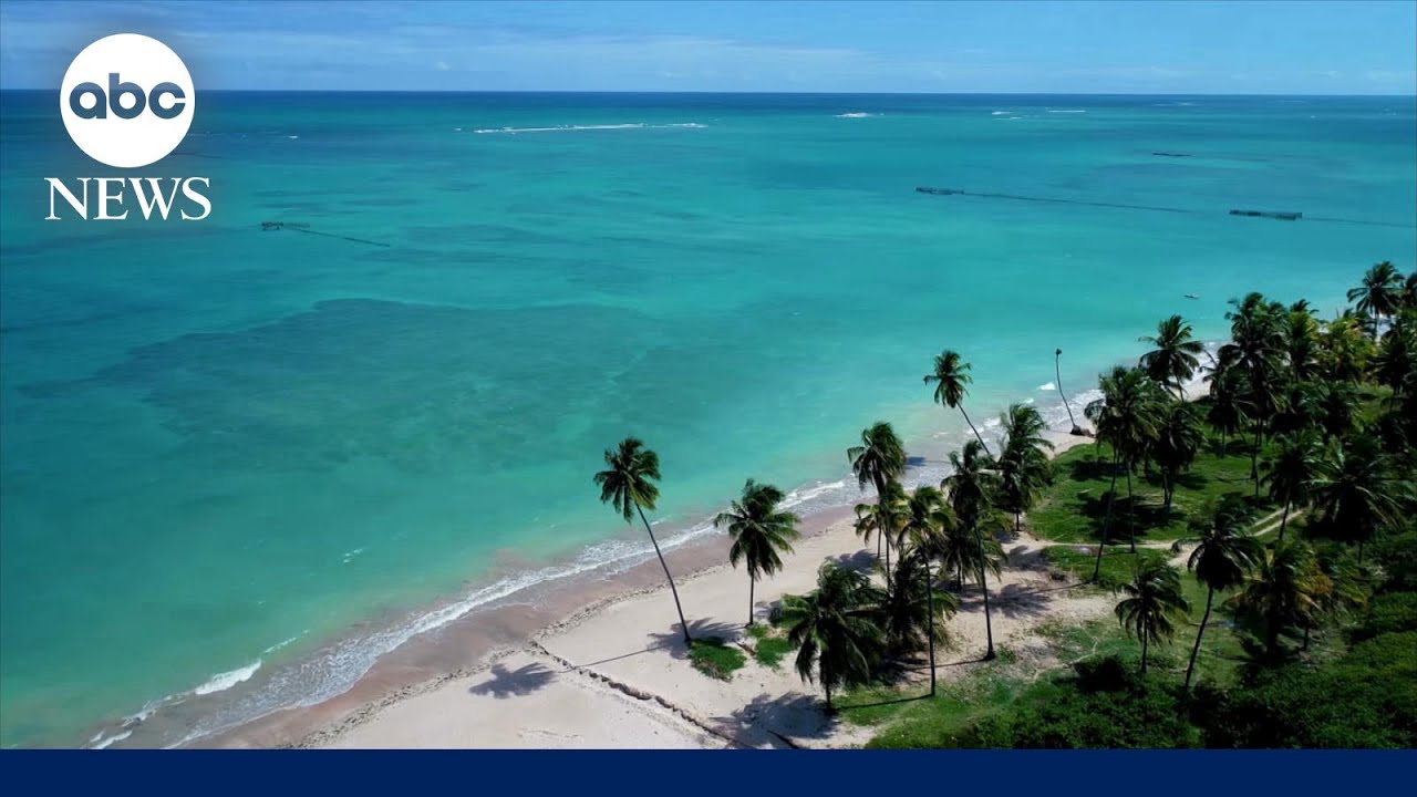 Почему сейчас лучшее время для бронирования летних поездок