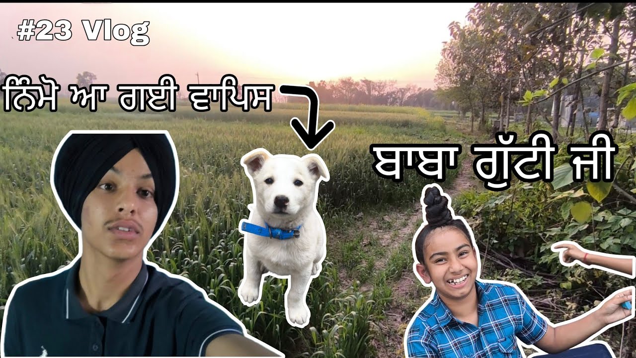 ਨਿੰਮੋ ਆ ਗਈ ਵਾਪਿਸ ਤੇ ਹੋ ਗਈ ਵੀ ਬਿਮਾਰ #dog #vlog #punjabivlogs #harsimranjagait #punjabi #viral #fun 