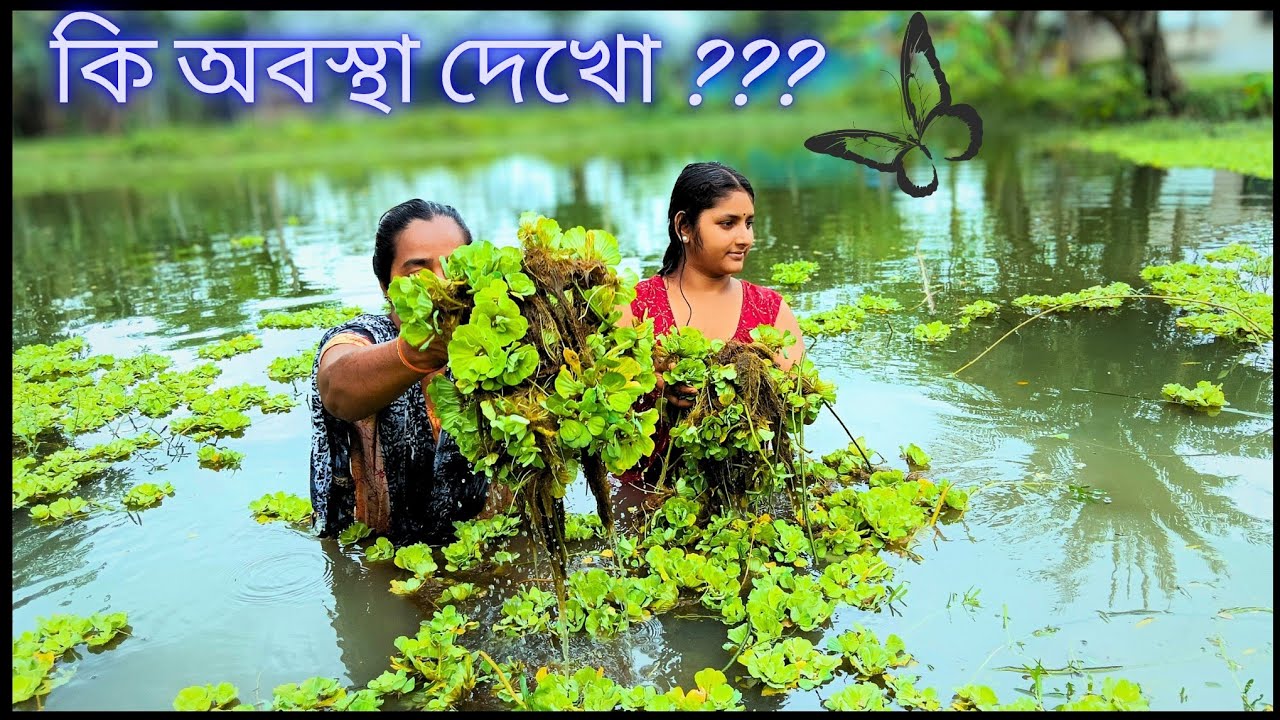 কি অবস্থা দেখো?😡|আমি আর মা মিলে অবশেষে কাজটা  করলাম.|Bengali vlogs|Vlogs|lilurubivlogs
