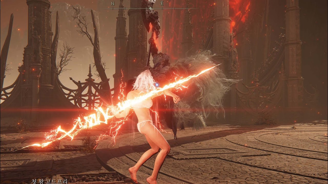 Godfrey, First Elden Lord (Hoarah Loux) No Damage (No Hit, No Guard, Solo kill)